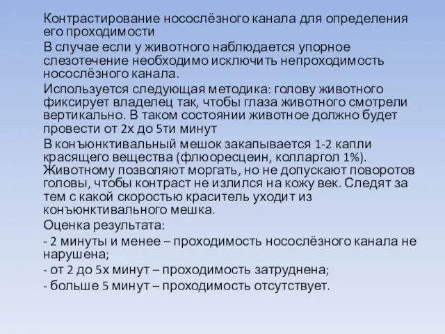 Контрастирование носослёзного канала для определения его проходимости В случае если у животного