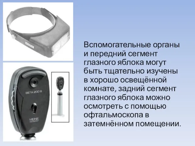 Вспомогательные органы и передний сегмент глазного яблока могут быть тщательно изучены в