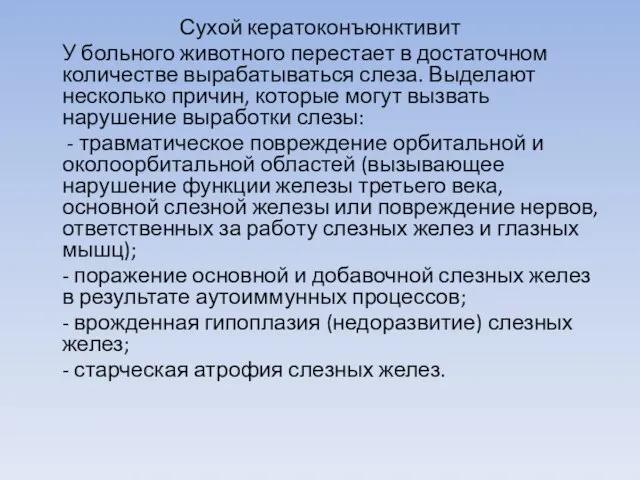 Сухой кератоконъюнктивит У больного животного перестает в достаточном количестве вырабатываться слеза. Выделают