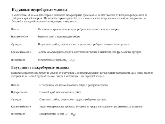 Внутренние межреберные мышцы располагаются непосредственно кнутри от наружных межреберных мышц. Пучки мышц