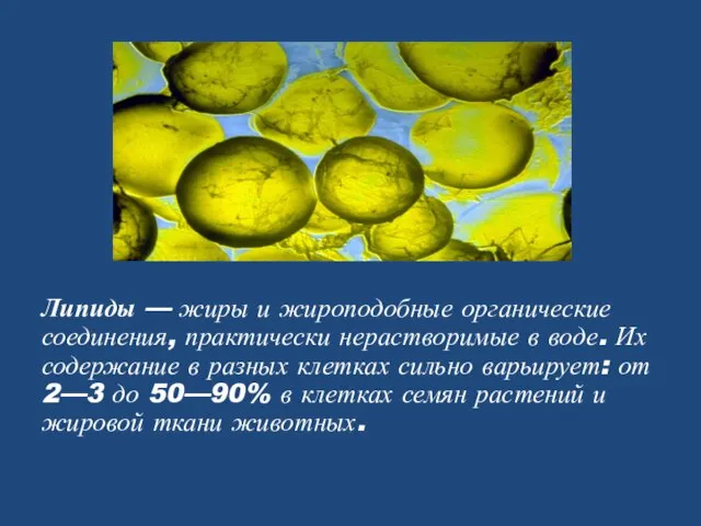 Липиды — жиры и жироподобные органические соединения, практически нерастворимые в воде. Их