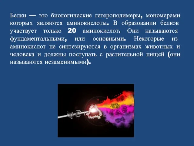 Белки — это биологические гетерополимеры, мономерами которых являются аминокислоты. В образовании белков