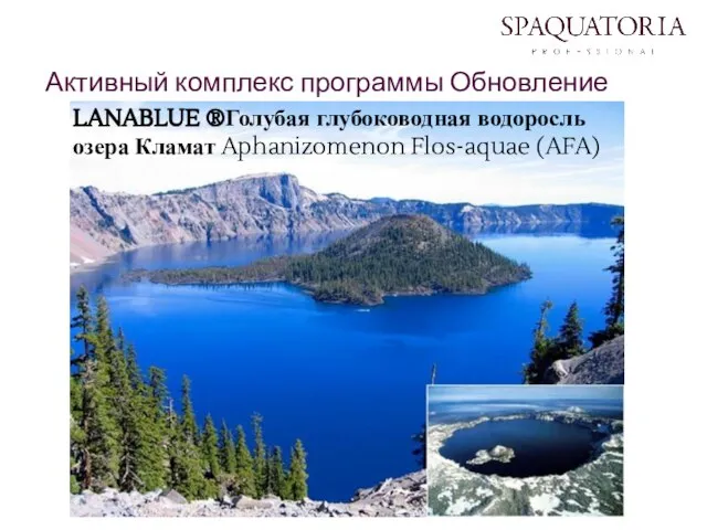 LANABLUE ®Голубая глубоководная водоросль озера Кламат Aphanizomenon Flos-aquae (AFA) Активный комплекс программы Обновление