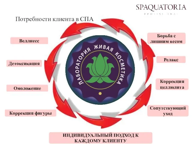 Потребности клиента в СПА Омоложение Веллнесс Релакс Коррекция целлюлита Борьба с лишним