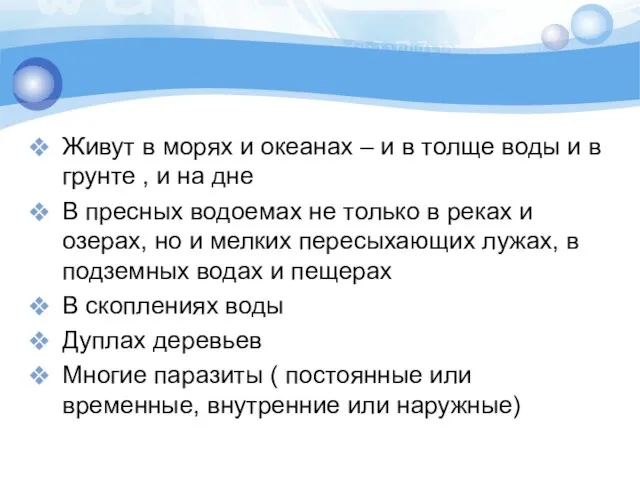 Живут в морях и океанах – и в толще воды и в