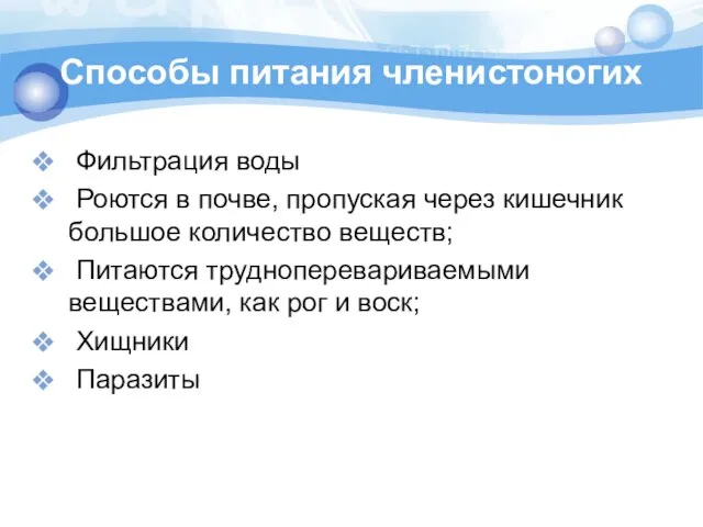 Способы питания членистоногих Фильтрация воды Роются в почве, пропуская через кишечник большое