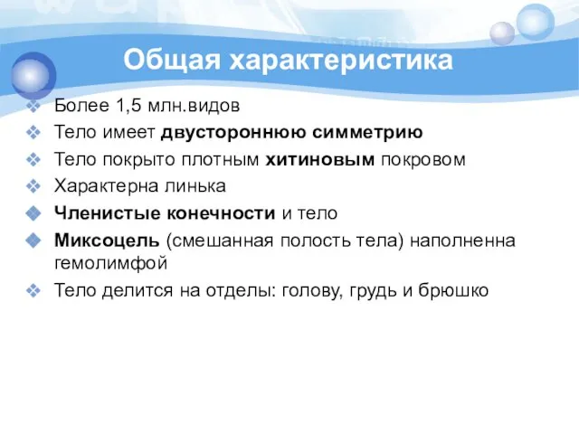 Общая характеристика Более 1,5 млн.видов Тело имеет двустороннюю симметрию Тело покрыто плотным