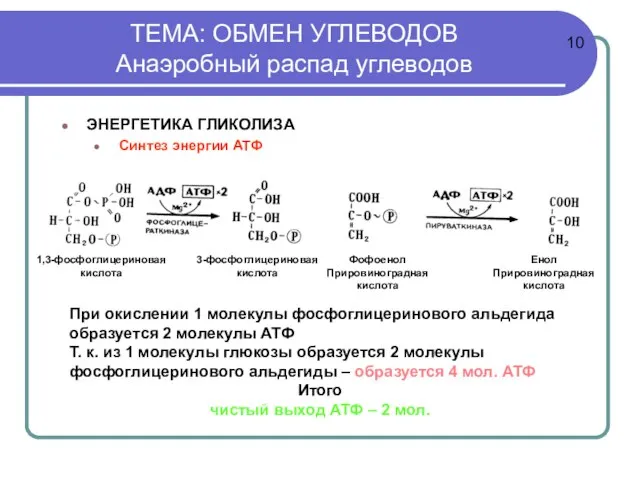 ТЕМА: ОБМЕН УГЛЕВОДОВ Анаэробный распад углеводов ЭНЕРГЕТИКА ГЛИКОЛИЗА Синтез энергии АТФ 1,3-фосфоглицериновая
