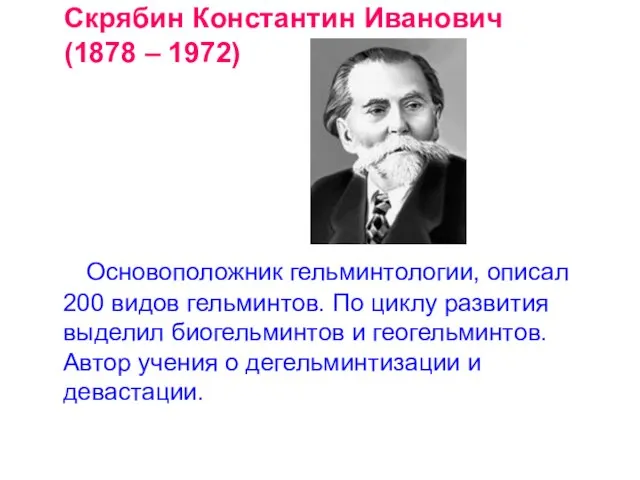 Скрябин Константин Иванович (1878 – 1972) Основоположник гельминтологии, описал 200 видов гельминтов.