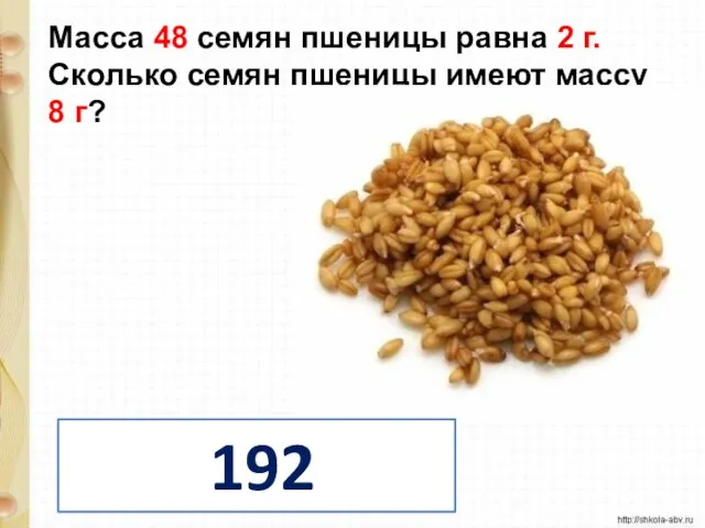 Масса 48 семян пшеницы равна 2 г. Сколько семян пшеницы имеют массу 8 г? 192 семени