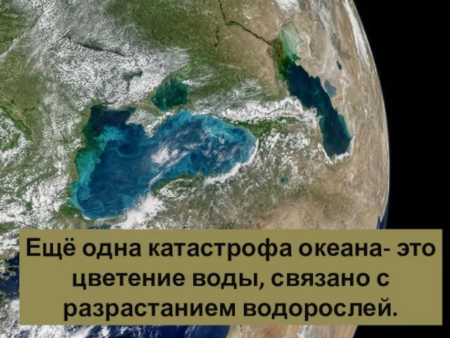 Ещё одна катастрофа океана- это цветение воды, связано с разрастанием водорослей.