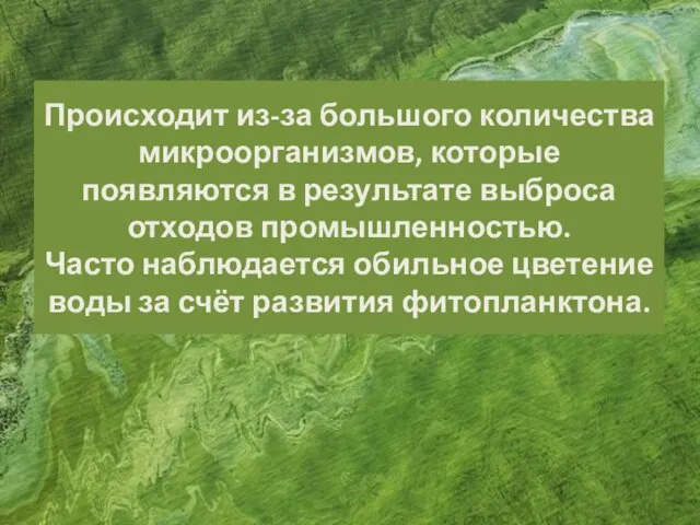 Происходит из-за большого количества микроорганизмов, которые появляются в результате выброса отходов промышленностью.