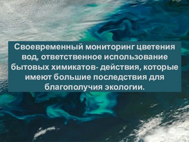 Своевременный мониторинг цветения вод, ответственное использование бытовых химикатов- действия, которые имеют большие последствия для благополучия экологии.