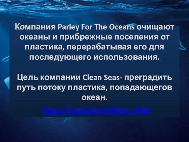 Компания Parley For The Oceans очищают океаны и прибрежные поселения от пластика,