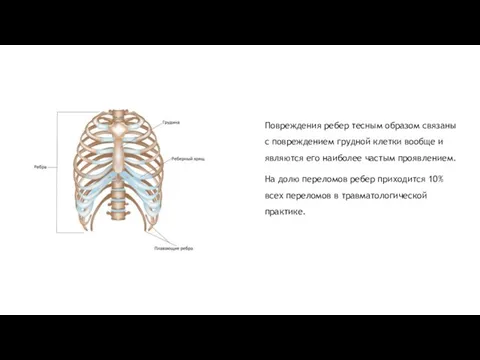 Повреждения ребер тесным образом связаны с повреждением грудной клетки вообще и являются