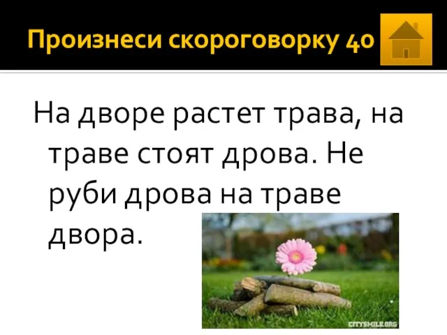 Произнеси скороговорку 40 На дворе растет трава, на траве стоят дрова. Не