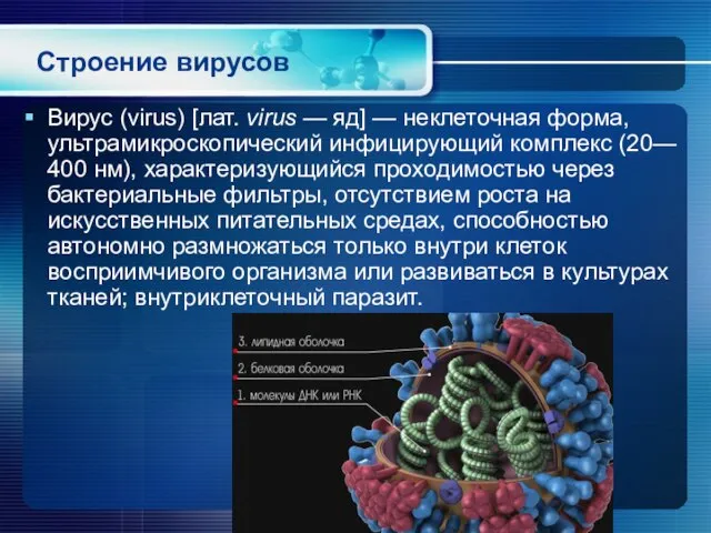 Строение вирусов Вирус (virus) [лат. virus — яд] — неклеточная форма, ультрамикроскопический