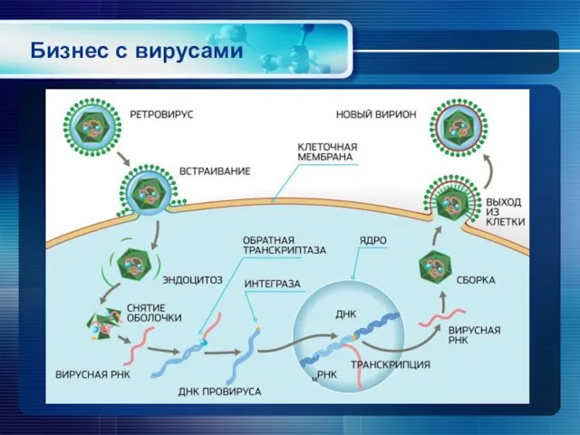 Бизнес с вирусами