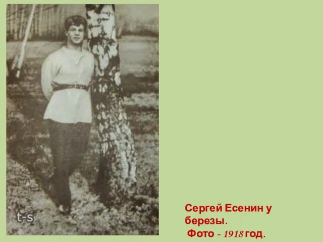 Сергей Есенин у березы. Фото - 1918 год.