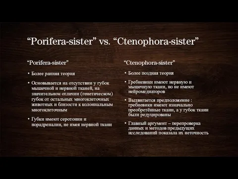 “Porifera-­sister” vs. “Ctenophora­-sister” “Porifera-­sister” Более ранняя теория Основывается на отсутствии у губок