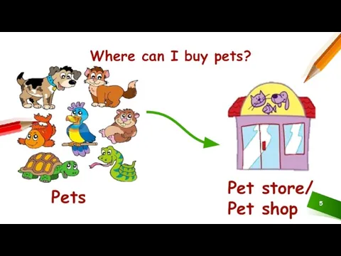 Where can I buy pets? Pets Pet store/ Pet shop
