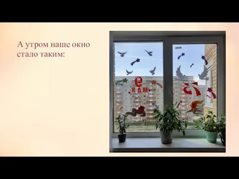 А утром наше окно стало таким: