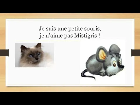 Je suis une petite souris, je n’aime pas Mistigris !