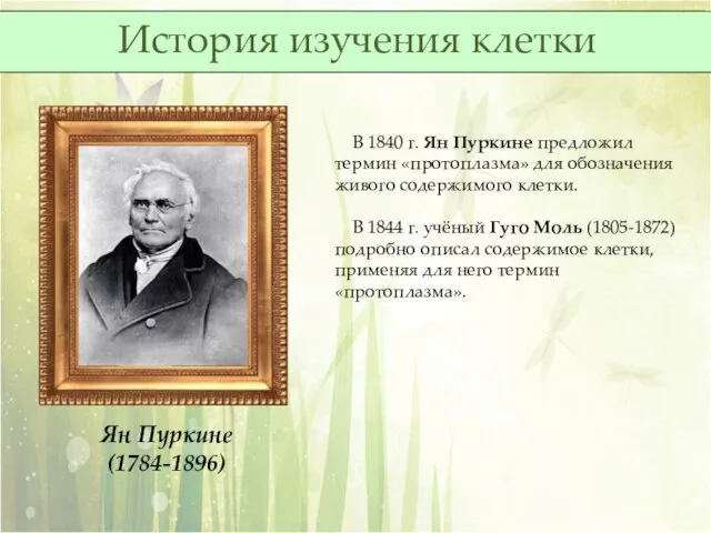 Ян Пуркине (1784-1896) В 1840 г. Ян Пуркине предложил термин «протоплазма» для