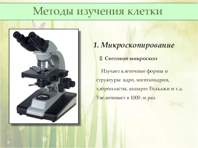 1. Микроскопирование Световой микроскоп Изучает клеточные формы и структуры: ядро, митохондрии, хлоропласты,