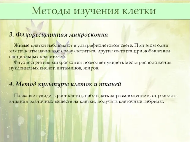 3. Флуоресцентная микроскопия Живые клетки наблюдают в ультрафиолетовом свете. При этом одни