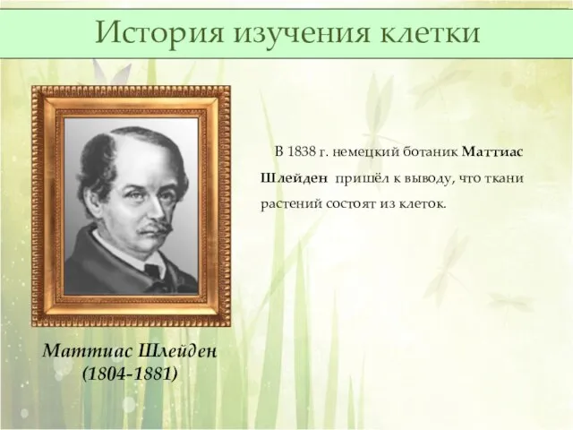 Маттиас Шлейден (1804-1881) В 1838 г. немецкий ботаник Маттиас Шлейден пришёл к