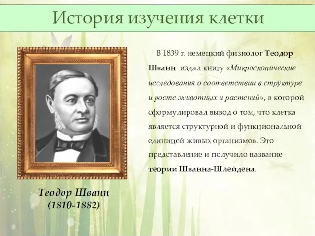 Теодор Шванн (1810-1882) В 1839 г. немецкий физиолог Теодор Шванн издал книгу