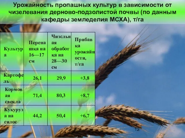 Урожайность пропашных культур в зависимости от чизелевания дерново-подзолистой почвы (по данным кафедры земледелия МСХА), т/га