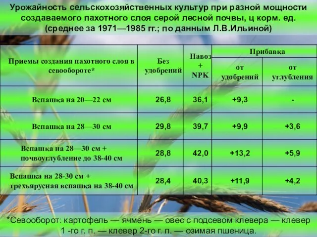 *Севооборот: картофель — ячмень — овес с подсевом клевера — клевер 1