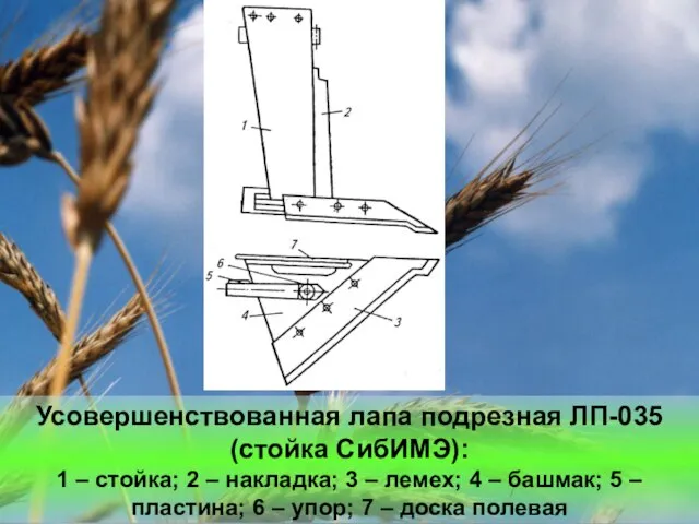 Усовершенствованная лапа подрезная ЛП-035 (стойка СибИМЭ): 1 – стойка; 2 – накладка;