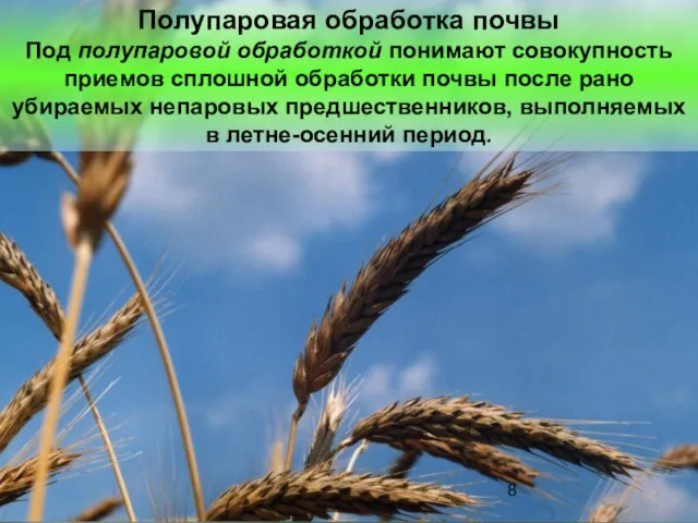 Полупаровая обработка почвы Под полупаровой обработкой понимают совокупность приемов сплошной обработки почвы