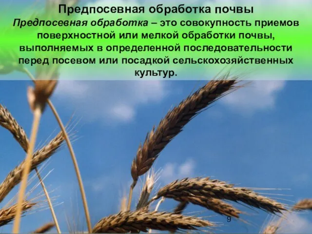 Предпосевная обработка почвы Предпосевная обработка – это совокупность приемов поверхностной или мелкой