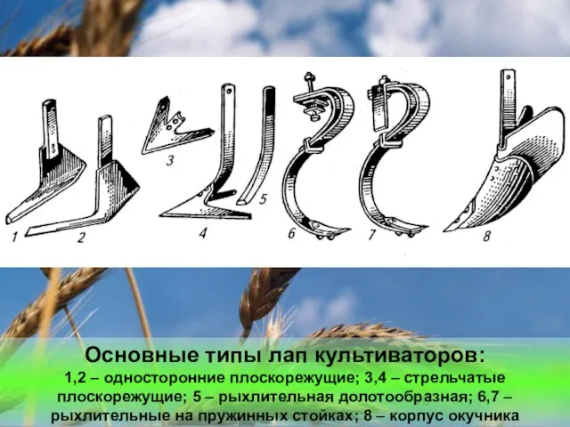 Основные типы лап культиваторов: 1,2 – односторонние плоскорежущие; 3,4 – стрельчатые плоскорежущие;