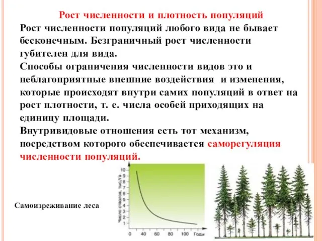 Рост численности и плотность популяций Рост численности популяций любого вида не бывает