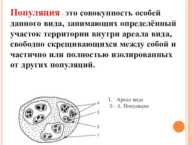 Популяция – это совокупность особей данного вида, занимающих определённый участок территории внутри