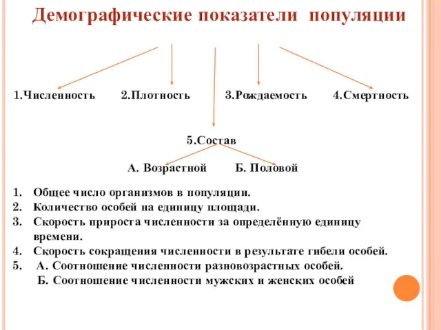 1.Численность 4.Смертность 5.Состав А. Возрастной Б. Половой 2.Плотность 3.Рождаемость Демографические показатели популяции