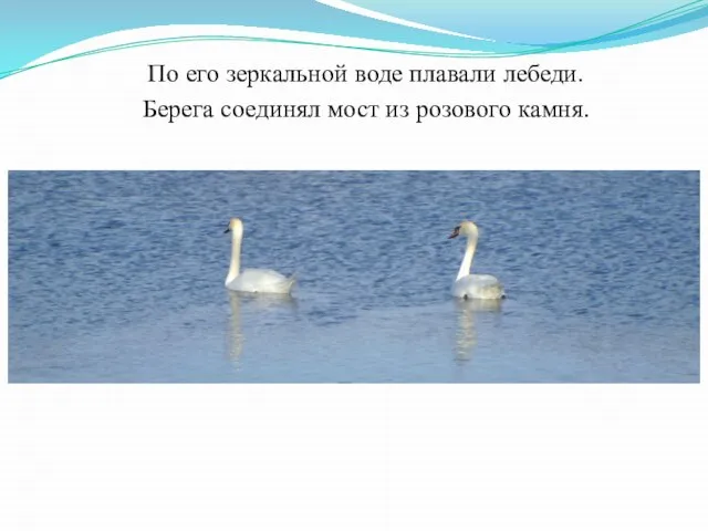 По его зеркальной воде плавали лебеди. Берега соединял мост из розового камня.