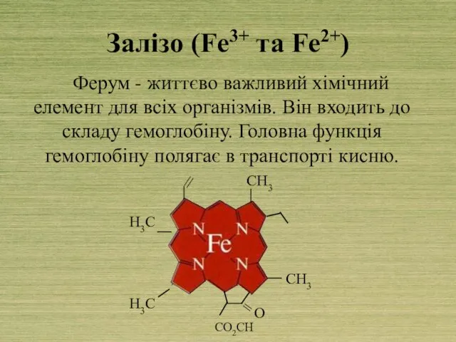 Залізо (Fe3+ та Fe2+) Ферум - життєво важливий хімічний елемент для всіх