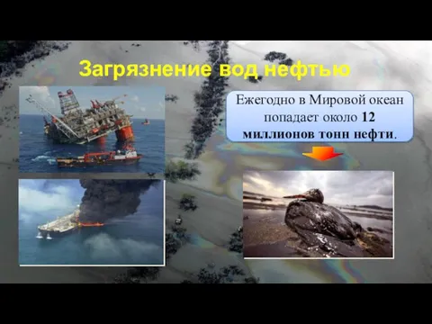 Ежегодно в Мировой океан попадает около 12 миллионов тонн нефти. Загрязнение вод нефтью