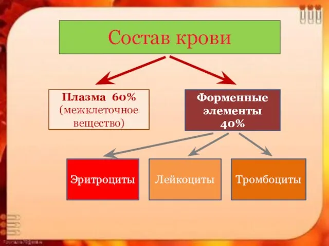 Состав крови Плазма 60% (межклеточное вещество) Форменные элементы 40% Эритроциты Лейкоциты Тромбоциты