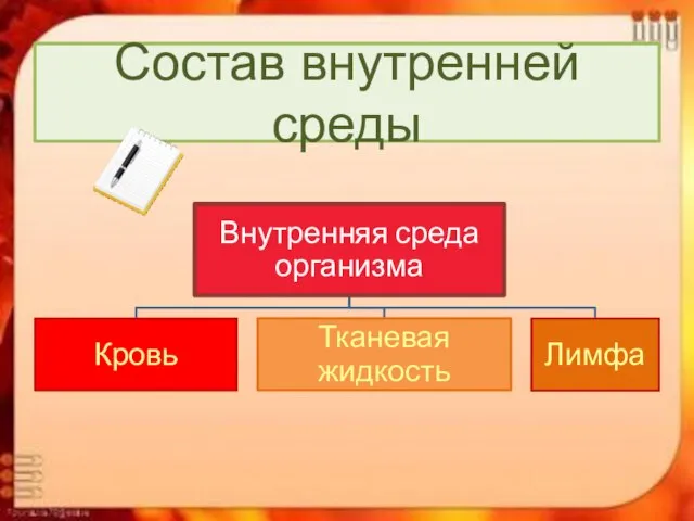 Состав внутренней среды