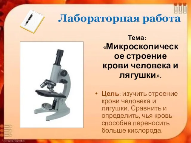 Лабораторная работа Тема: «Микроскопическое строение крови человека и лягушки». Цель: изучить строение