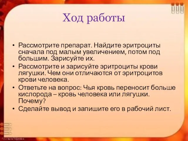 Ход работы Рассмотрите препарат. Найдите эритроциты сначала под малым увеличением, потом под