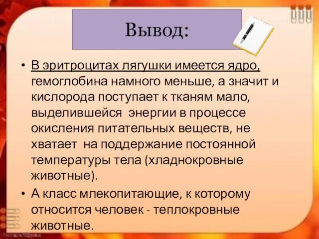 Вывод: В эритроцитах лягушки имеется ядро, гемоглобина намного меньше, а значит и