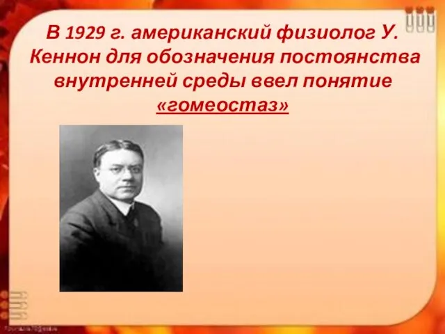 В 1929 г. американский физиолог У.Кеннон для обозначения постоянства внутренней среды ввел понятие «гомеостаз»